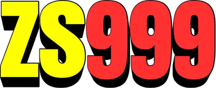 zs999-9.pk